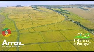 FAZENDA À VENDA NO RS COM 850 HA [upl. by Aicxela634]