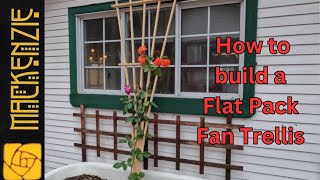 Building a Flat Pack Fan Trellis [upl. by Timmy]