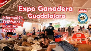 Expo Ganadera 2023 Guadalajara mexico [upl. by Zavras748]