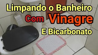 COMO LIMPAR BANHEIRO USANDO VINAGRE E BICARBONATO [upl. by Dnomyad]