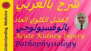 1 quotAcute Kidney Injury AKI Comprehensive Guide for Medical Students and Doctors شرح بالعربي [upl. by Asert]