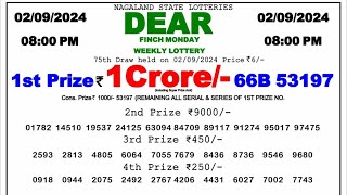 🔴 Evening 0800 PM Dear Nagaland State Live Lottery Result Today ll Date02092024 ll [upl. by Parthen]