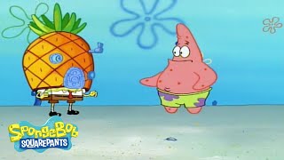 quotHome Sweet Pineapplequot  Season 1 Episode 5  SpongeBob SquarePants [upl. by Erdna]