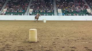 Bareback Draft Horse Barrel Racing [upl. by Imogene]