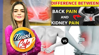 How to tell the difference between kidney pain and back pain  News Cafe  31 May 2024 [upl. by Jay]