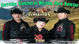 Los Gallitos de Chihuahua Album Con Tololoche  Corridos Rancheras Viejitas Mix Para Pistear [upl. by Buskus]