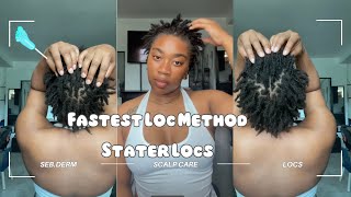 Fastest Loc Method  Starter Locs  Brittany [upl. by Yemrej]