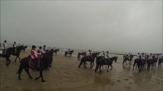 mega strandrit friese paarden 2016 [upl. by Anaerdna]