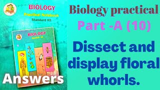 Dissect and display floral whorls biology practical class 12 experiment 10 part A answers [upl. by Netsrejk]