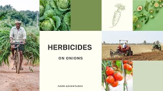 SELECTIVE HERBICIDES ON ONIONS [upl. by Gustafson270]