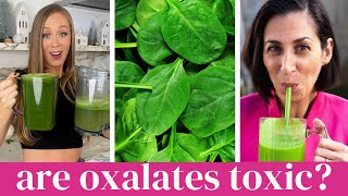 Are Plant OXALATES TOXIC Dr Brooke Goldner amp Gillian Berry [upl. by Elylrac679]