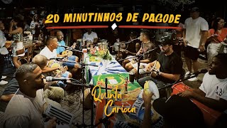 20 MINUTINHOS DE PAGODE ORIGINAL SEM AGROTÓXICOS 🤪😜 [upl. by Zuckerman135]