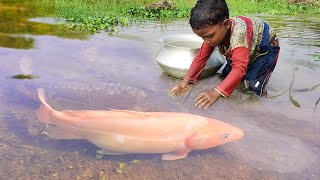 Amazing Hand Fishing Video  Traditional Catching Fish By Hand in Pond Water [upl. by Nosreg]