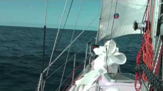 On Board Ellas Pink Lady Near Lord Howe Island [upl. by Nod]