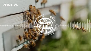 S1E11  Zentiva Sustainability Podcast About Bees and AI [upl. by Enneirdna]