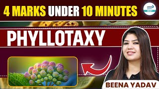 What is Phyllotaxy Quick amp Simple Explanation  NEET 2025  Class 11 Botany  infinitylearnNEET [upl. by Kidder]