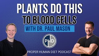 Plants do THIS to Blood Cells  Interview with Dr Paul Mason [upl. by Pennington]