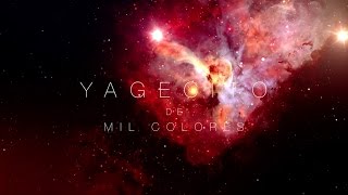 Yagecito De Mil Colores  Fherley Majin  Musica de Medicina Ayahuasca [upl. by Nalid]