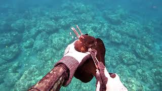 Spearfishing the Shallows  One and Done  Catch and Cook  Big Island of Hawaii [upl. by Yaffit]