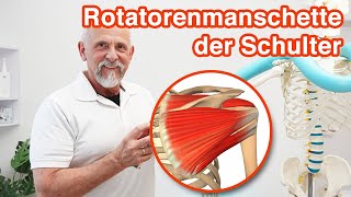 Die Rotatorenmanschette der Schulter ➡️ Anatomie Aufgaben und Probleme [upl. by Sitsuj193]