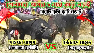 গলামারা আসরে এক নম্বর কারা লড়াই  সতুর্ঘন VS চিনিবাস এক নম্বরে কাড়া লড়াই  Purulia Kara lorai [upl. by Koffler]