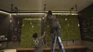 QG Floral Time Lapse  Preserved Moss Wall Installation [upl. by Keon276]