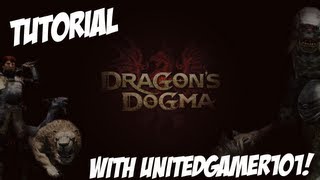 A Chads Guide to Warrior  Dragons Dogma [upl. by Adaminah]