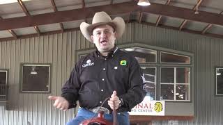 Franco Bertolani – Tips for Training a Deaf Horse [upl. by Drahnreb]