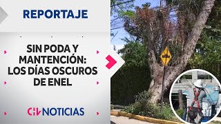 ENEL NO CUMPLIÓ con podas de árboles para evitar cortes de luz  REPORTAJES CHV Noticias [upl. by Aicenert]