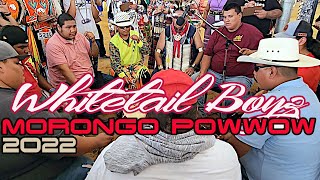 Whitetail Boyz Contest Song l Sat Afternoon Morongo Powwow 2022 [upl. by Aleen]