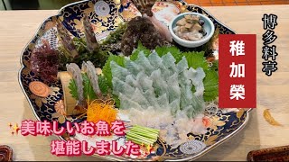 【福岡グルメ】博多料亭・稚加榮🥂大きな生簀を囲んでお食事♪ [upl. by Durer528]