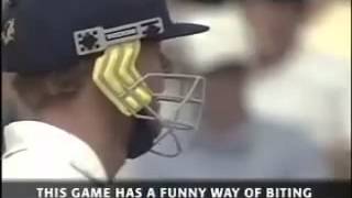 Best Sledging Ever Flintoff Dwayne Bravo with subtitles [upl. by Moishe594]