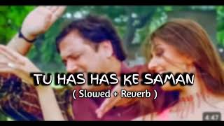 🥀Tu Jo Has Has ke Sanam ❤️ slowed x reverb Raja Bhaiya 2003  Udit Narayan Govinda [upl. by Nyladnohr]