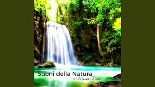 Musica rilassante con i suoni della natura Onde del mare [upl. by Novyart79]