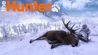 Moose and Bison Hunting theHunter Classic  My first Video [upl. by Bozovich]