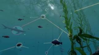 Exploring Ecosystems Coastal Food Webs  California Academy of Sciences [upl. by Spragens]