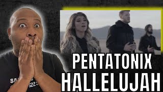 Incredible First Time Hearing  Pentatonix  Hallelujah Reaction [upl. by Orodoet]