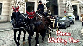 Vienna Walking Tour I Freyung Am Hof Bognergasse I 4K Video [upl. by Ahsimit753]