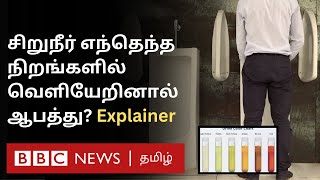 உங்க Urine Colour சொல்லும் ரகசியம் என்ன இது தெரிஞ்சா Health Issuesஐ முன் கூட்டியே அறியலாம் [upl. by Helve977]