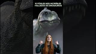 🦖✨ ¡Descubre los 10 FÓSILES MÁS INCREÍBLES de DINOSAURIOS 🌍🦕 ¡Hallazgos increíbles 🔍💥 [upl. by Ysdnil]