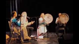 Amir Vahab New York Sufi Songs of Love Charles B Wang Center [upl. by Paxon955]