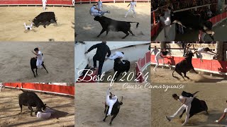 BEST OF COURSE CAMARGUAISE SAISON 2024 [upl. by Aloke660]