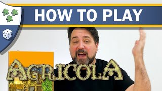 How to Play Agricola [upl. by Rebmik]