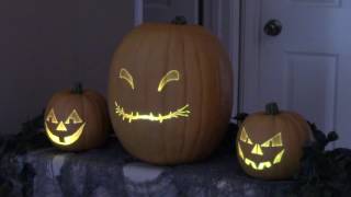 Oogie Boogies Song Pumpkins for Halloween or the Holidays [upl. by Chastity]