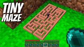 I found a TINY SECRET MAZE in Minecraft  Whats INSIDE the SMALLEST MAZE [upl. by Enelyw]