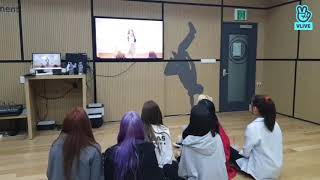 ELRIS reaction to JACKPOT MV [upl. by Marika]