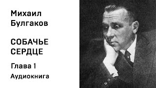 М А Булгаков Собачье сердце Глава 1 Аудиокнига Слушать Онлайн [upl. by Zetnwahs]