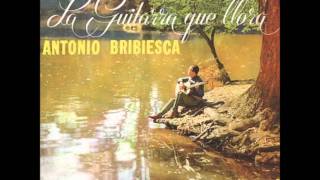 DEJAME LLORAR ANTONIO BRIBIESCA Y SU GUITARRA [upl. by Hilel964]