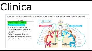 📝 Guía Rápida sobre Hemiplejia y Método Perfetti 💪✨ [upl. by Annah]