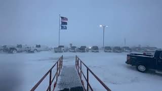 You live in Prudhoe Bay Alaska in November 🥶🥶🥶⁣ [upl. by Zurheide]